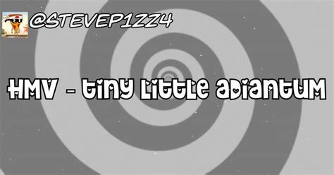 Working on a new HMV + your name in the credits! ｜Steve Pizza .